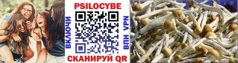 сколько стоит  Рыльск  Галлюциногенные грибы Magic Shrooms 